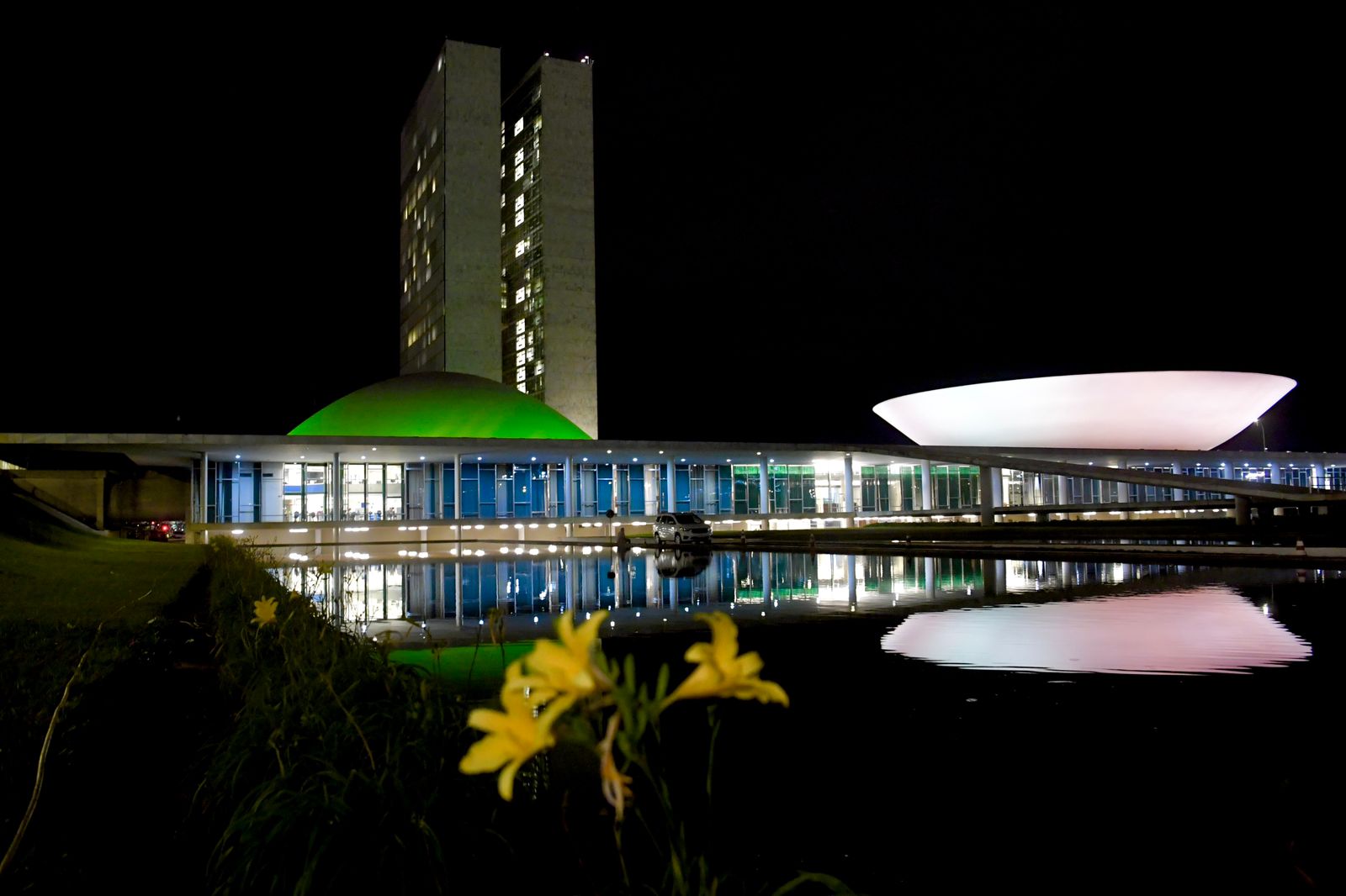 Seminário no Senado apresentou benefícios da homeopatia